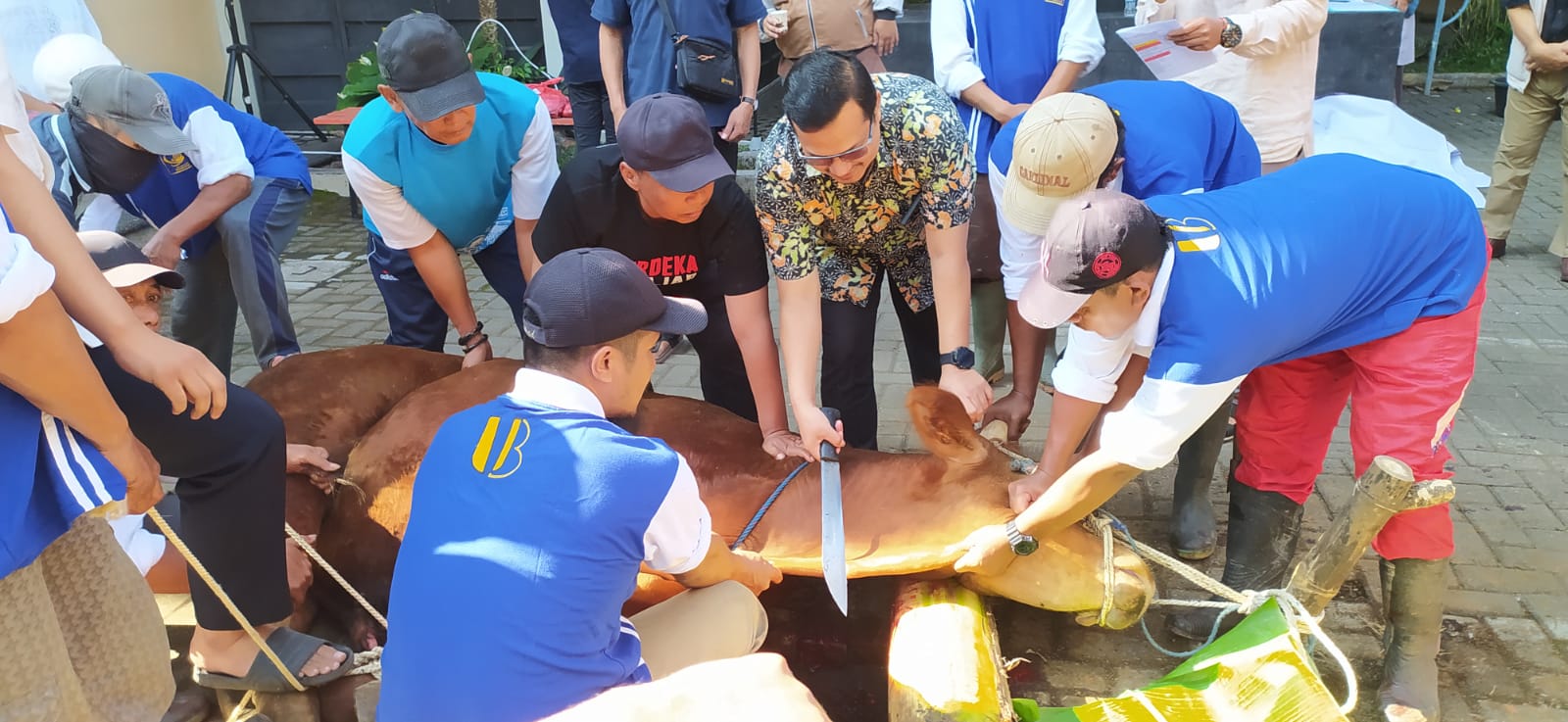 Dekan mengawali prosesi penyembelihan Hewan Qurban di FTUB